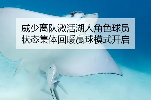 威少离队激活湖人角色球员 状态集体回暖赢球模式开启
